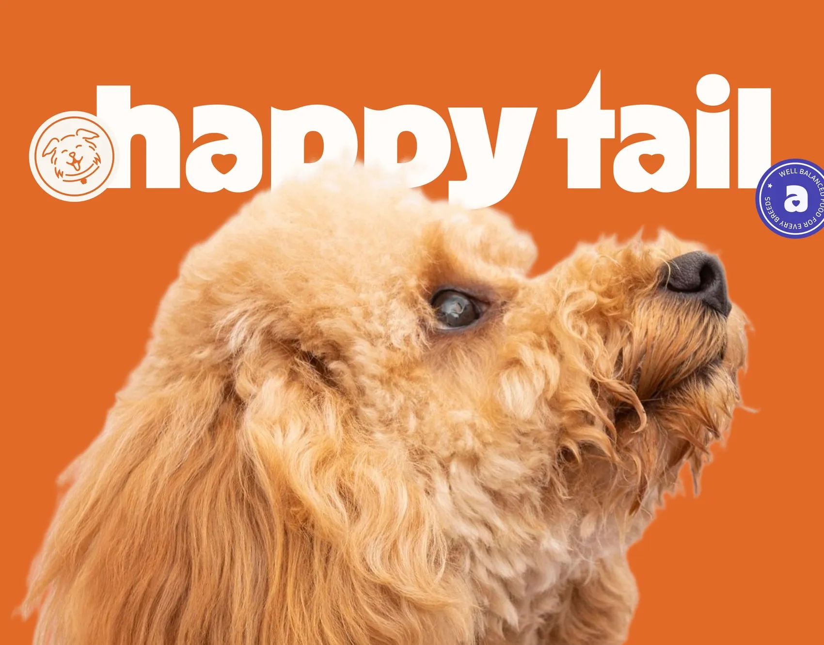 Happy Tail wordmark above a fluffy apricot dog on an orange background