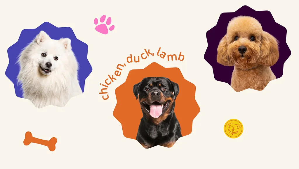 Happy Tail dog portraits in wavy frames: a white fluffy dog, a Rottweiler and a poodle, with “chicken, duck, lamb”