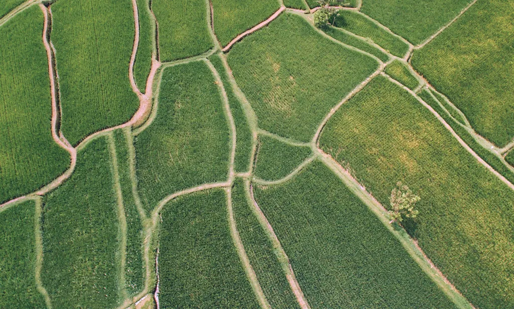 Patchwork of green fields and paths seen from above