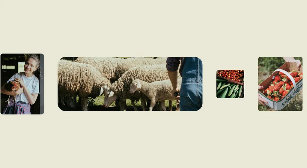 Kresho photo cards of farm animals and produce