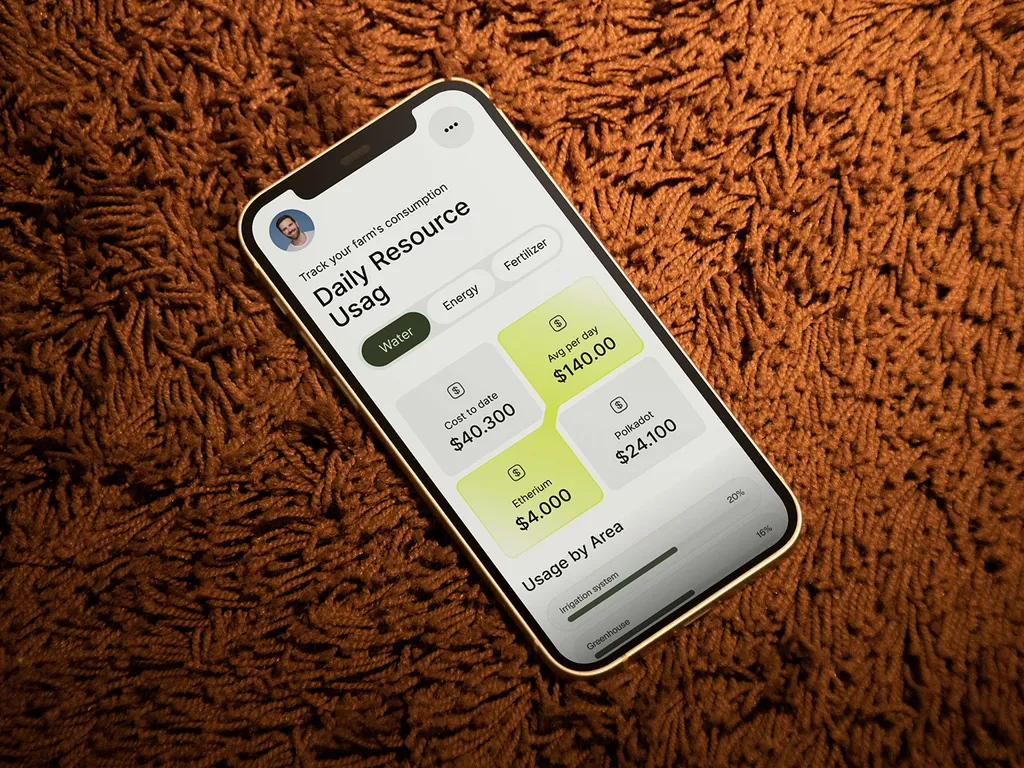 Phone on a rug showing Kresho daily resource usage