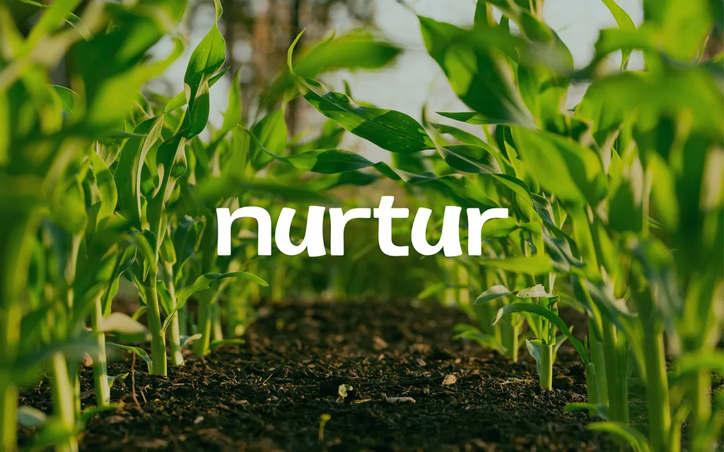 Nurtur wordmark in white over rows of young corn plants growing from dark soil