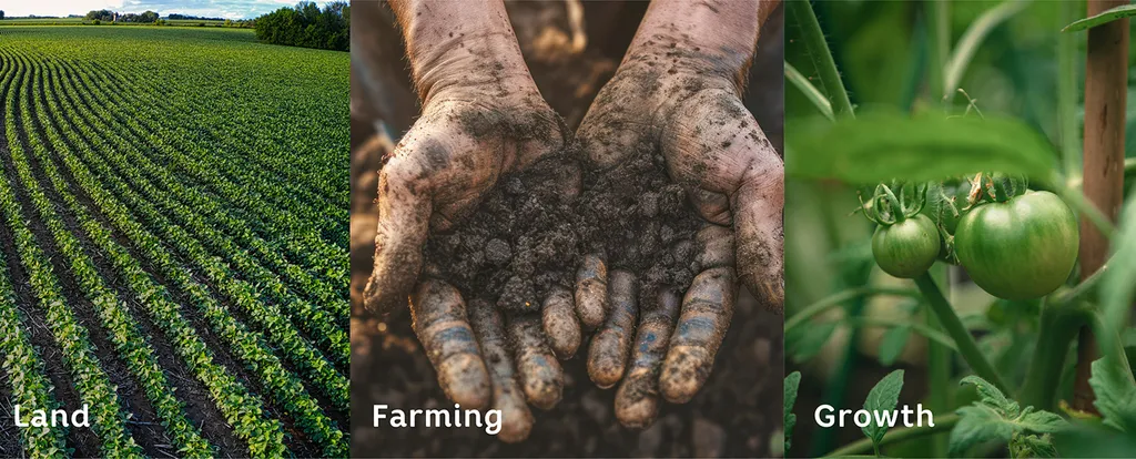 Nurtur moodboard photos labeled Land, Farming and Growth: crop rows, hands holding soil and green tomatoes on the vine
