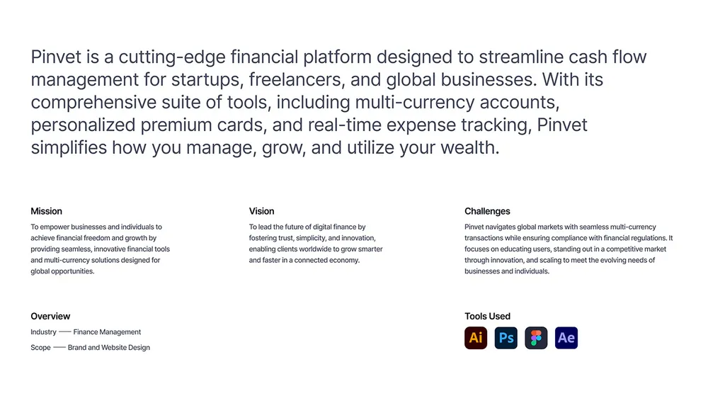 Pinvet project overview: a financial platform for startups, freelancers and global businesses, with mission, vision and challenges
