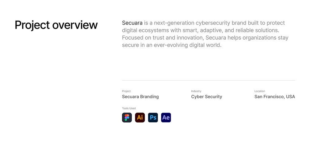 Secuara project overview: cybersecurity, San Francisco, USA