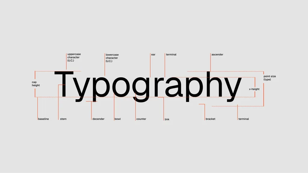 Anatomy of the SUPA typography