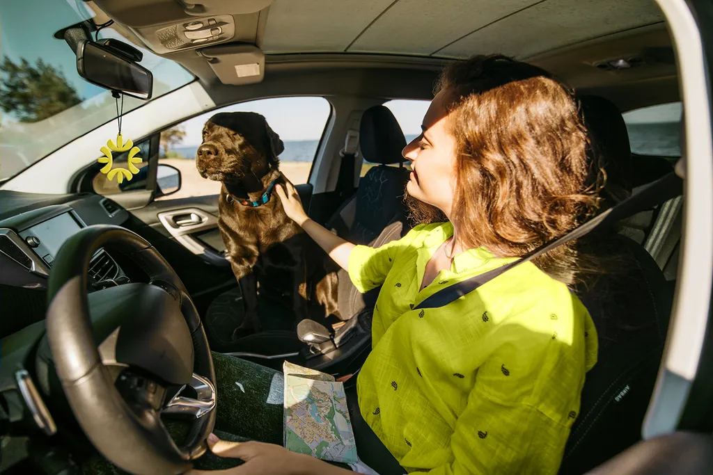 Woman driving with a lime Wayfare sun air freshener hanging from the mirror