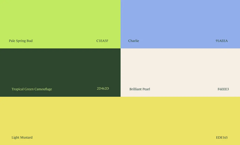 ZAYAN color palette: pale spring bud, tropical green, chalk blue, brilliant pearl and light mustard
