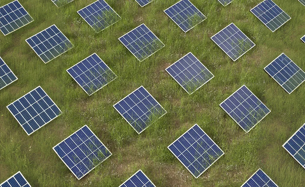 Solar panels spread across a grassy field seen from above